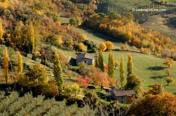 Le colline intorno ad Assisi in autunno