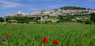 Assisi - Veduta panoramica in primavera